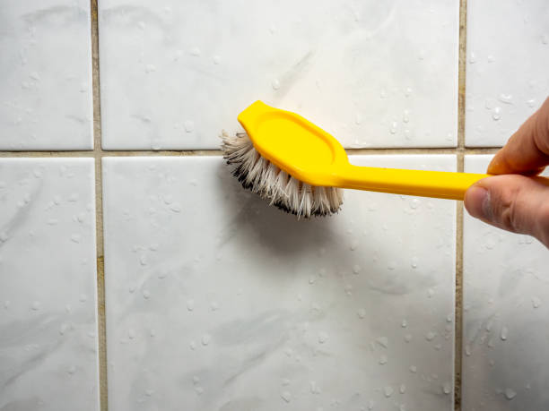 Best Office Mold Removal Services  in Glenolden, PA