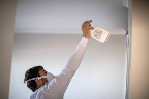 Best Emergency Mold Removal  in Glenolden, PA