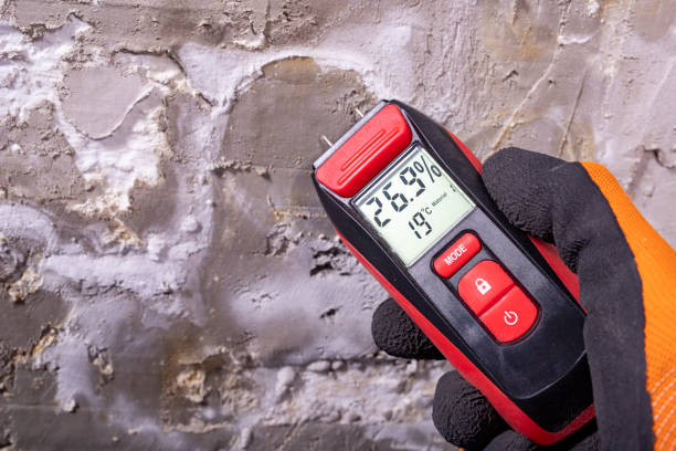 Best Black Mold Removal  in Glenolden, PA